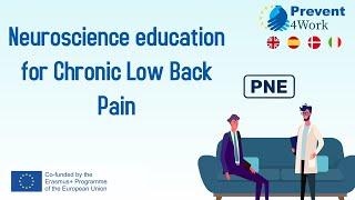 P4Work | Neuroscience Education for Chronic Low Back Pain