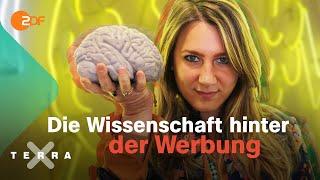 Neuromarketing – wie uns Werbung manipuliert