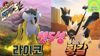 포켓몬 가오레 러시5탄 첫 5성 라이코, 황갈 #pokémon #가오레 #러시5탄