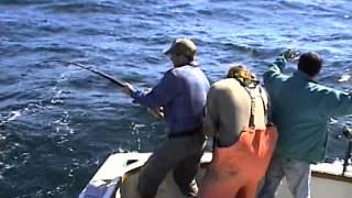 Satwater Fishing With Dr. JIm - Halibut