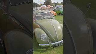 VW Beetle Classic Car show #VWFarm #shorts #beetle #vw #car #classic #volkswagen