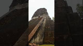 Ancient Maya Pyramids of Tikal in the Jungle Of Guatemala #short #shortsvideo #archaeology