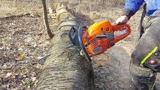 Husqvarna 572 cutting fire wood hard big cherry