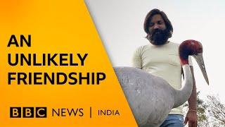 A man-bird friendship that led to an FIR | BBC News India