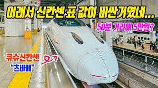 [Japan Train Travel] Hakata-Kumamoto Review of JR Kyushu Shinkansen Tsubame