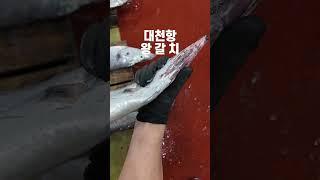 서해안에서 만나는 커다란 왕갈치!