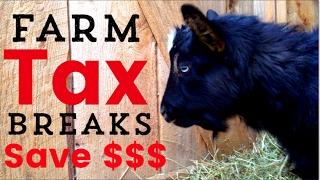 How We Save Money ($1000+) On Taxes By Farming