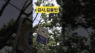 #감사 # 원곡나훈아#가황# 김용빈# 미스터트롯3진