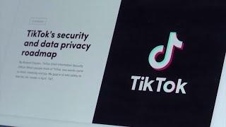 ByteDance, TikTok seek temporary halt to US ban | REUTERS