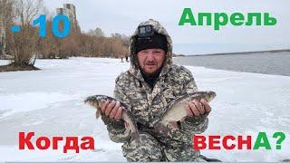 Зимняя рыбалка???  Попал на жор ЯЗЯ !!! Фидер в Сибири! Winter fishing on a feeder in Siberia.