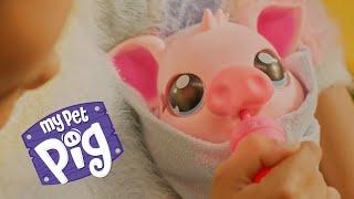 Little Live Pets | My Pet Pig | TVC 30