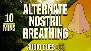 Guided Alternate Nostril Breathing Meditation (Nadi Shodhana) | 10 Minutes