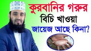 কুরবানির গরুর বিচি খাওয়া জায়েজ আছে কিনা || Mizanur Rahman Azhari