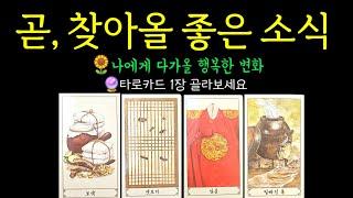 #타로 곧, 찾아올 좋은 소식  당신에게 다가올 행복한 변화에요️