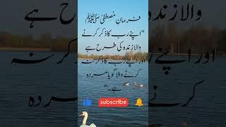 Islamic vision