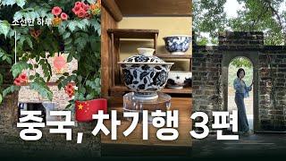 [소선한 하루] 중국 복건성 무이시, 경덕진 차기행! 3편