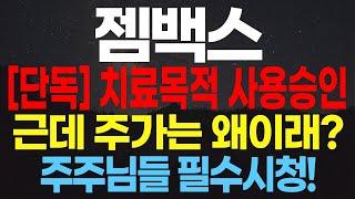 [젬백스]단독치료목적 사용승인 근데 주가는 왜이래?주주님들 필수시청