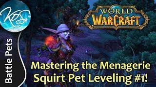 World of Warcraft: SQUIRT PET LEVELING STRAT #1 - WoW Battle Pet Strategy, WoD, Draenor