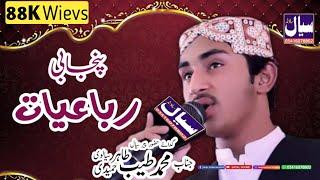 Muhammad Tayyab Tahir Hameedi Sialvi || NEW Punjabi Robaiyat 2022 || Sayal Sound Phalia