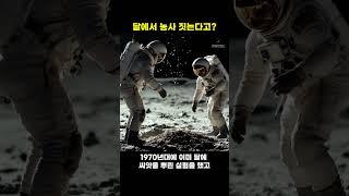 달에서 농사 짓는다고? #nasa #우주 #이슈 #shrots #fyp