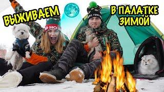 ВЫЖИВАЕМ В ЛАГЕРЕ НА ЗАКОЛДОВАННОМ ОЗЕРЕ С КОТАМИ ЗИМОЙ! ИСПЫТАНИЯ НА ВЫНОСЛИВОСТЬ