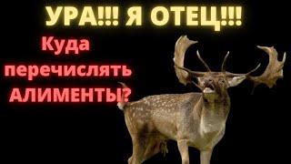 День отца / Для кого праздник