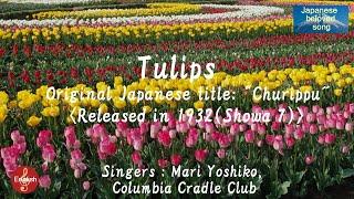 Tulips  ＜ チューリップ Churippu  ＞ （ Mari Yoshiko, Columbia Cradle Club ）