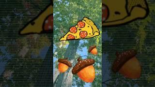 How to Make Acorn Pizza from Radiolab For Kids Presents: Terrestrials