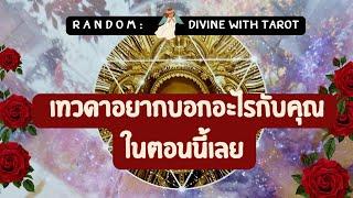  เทวดาอยากบอกอะไร?( คลิปนี้เทวดาส่งมาให้คุณ..ที่เจอคลิปนี้)#ไพ่ยิปซี #tarot #ดูดวง