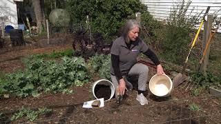 Homegrown | How to Test Your Garden Soil