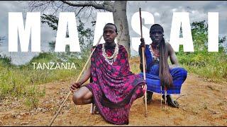 Tanzania | Maasai (2/2)