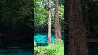 Emerald Pool, Krabi, Thailand