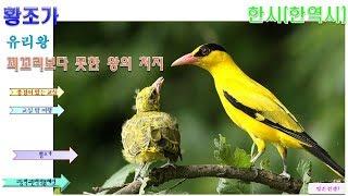 유리왕 황조가 해설