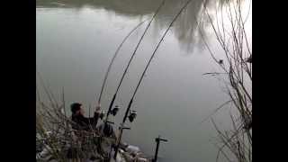 A Pesca con Fortunato - Siluri Break Line Fiume Taro 3/3/13