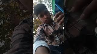 #shorts #trending #gannekajuice