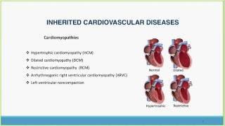 Genetic Testing for Inherited Cardiovascular Disease and Sudden Death Syndrome