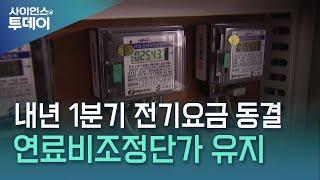 내년 1분기 전기요금 동결...연료비조정단가 '+5원' 유지 / YTN 사이언스