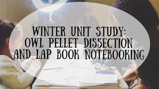 How to Lap Book Notebooking I Homeschool Unit Study