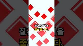건강에 좋은 사과, 당신이 몰랐던 놀라운 효능과 주의해야할 부작용 #건강정보 #효능 #과일 #채소