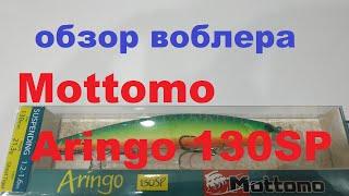Видеообзор воблера Mottomo Aringo 130SP по заказу Fmagazin