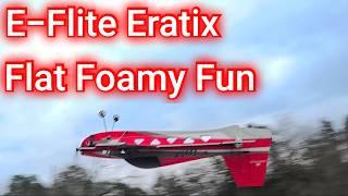 Great 3d trainer E-Flite Eratix FF #rchobby #viralvideo #rcpilot