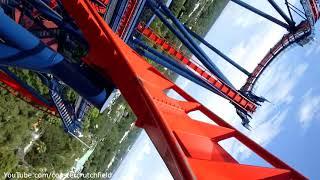 SheiKra Front Row (HD POV) Busch Gardens Tampa Bay