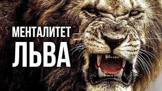 МЕНТАЛИТЕТ ЛЬВА - Мотивационное Видео Номер 1