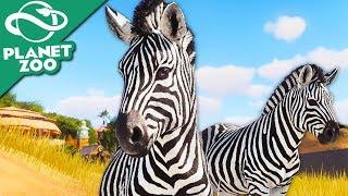 Let's Build a Zoo; A PLANET ZOO! - Planet Zoo Franchise Mode