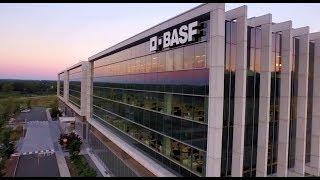 Your BASF Journey