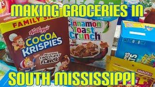 Large Walmart, Froogles and Dollar Tree | Large family of 7 Grocery haul