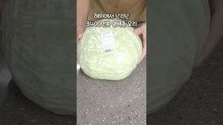 The most famous cabbage dish on YouTube