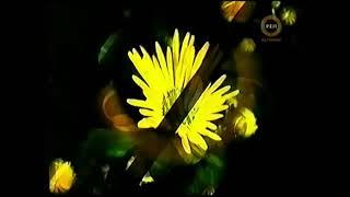 Заставка С 8 марта! (Рен-ТВ Эстония, 2008)