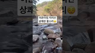 이른아침^^ 시원한 물소리로 잠시힐링 #계곡물소리 #asmr #nature