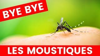 astuces contre les moustiques | 3 MOYENS POUR FAIRE FUIR LES MOUSTIQUES + 1 EN CAS DE PIQURE